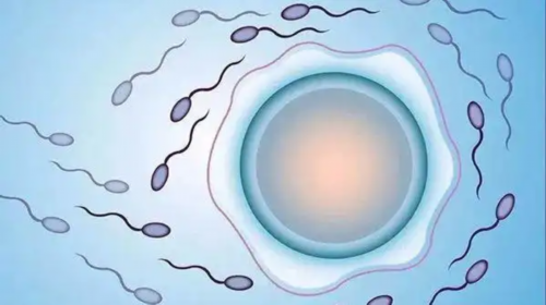 高龄无卵泡取卵失败怎么办？供卵试管婴儿适应症评估